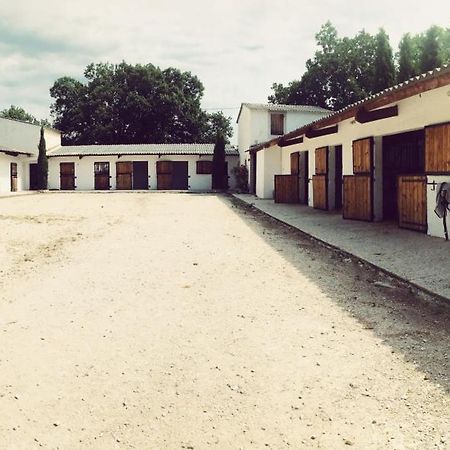 Maison Au Milieu Des Chevaux L'Isle-sur-la-Sorgue Luaran gambar
